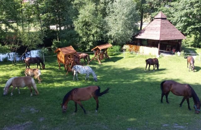 Co to jest agroturystyka? Poznaj jej zalety i unikalne doświadczenia Co to jest agroturystyka? Poznaj jej zalety i unikalne doświadczenia