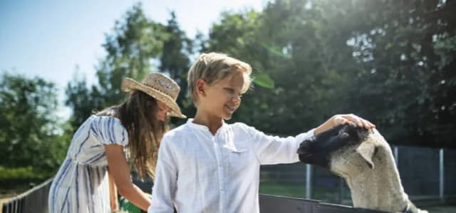 Agroturystyka czy warto? Sprawdź, jak zyskać na tym biznesie Agroturystyka czy warto? Sprawdź, jak zyskać na tym biznesie