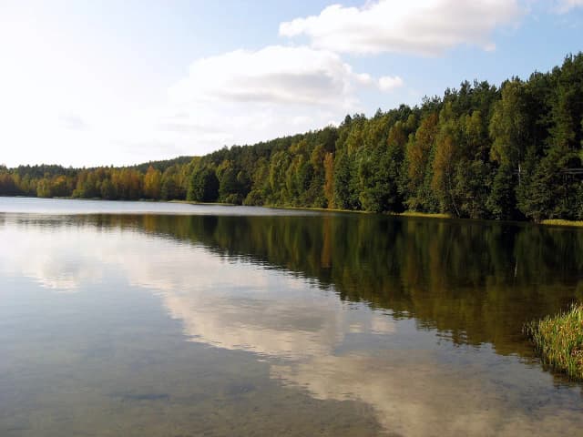 Gołubie Kaszubskie - atrakcje, które musisz zobaczyć na własne oczy Gołubie Kaszubskie - atrakcje, które musisz zobaczyć na własne oczy