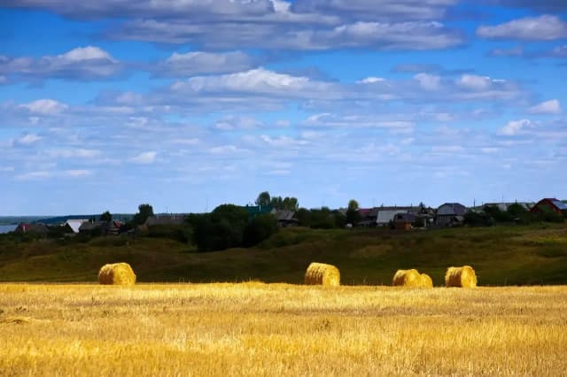 Agroturystyka czy to dobry biznes? Odkryj ukryte zyski i wyzwania Agroturystyka czy to dobry biznes? Odkryj ukryte zyski i wyzwania