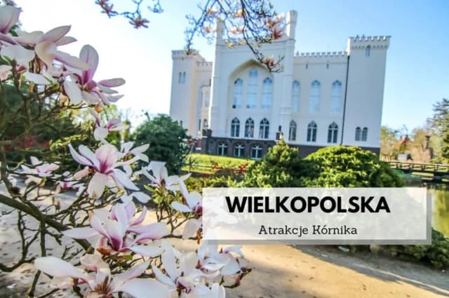 Gdzie zjeść w San Gimignano? Najlepsze lokale, które musisz poznać Gdzie zjeść w San Gimignano? Najlepsze lokale, które musisz poznać