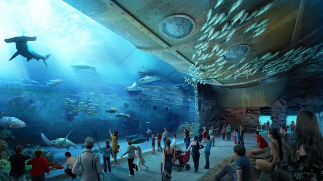 Gdynia atrakcje oceanarium - odkryj fascynujące morskie ekosystemy Gdynia atrakcje oceanarium - odkryj fascynujące morskie ekosystemy